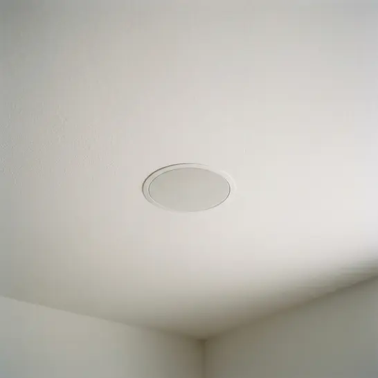 Invisible Ceiling Speaker